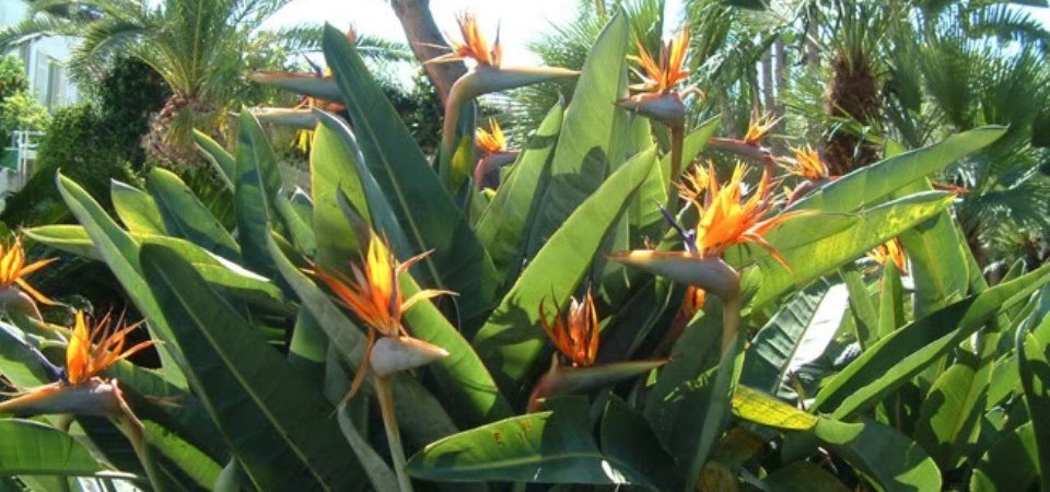 foto7.jpg